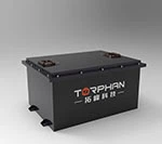 48V 리튬 이온 골프 카트 배터리